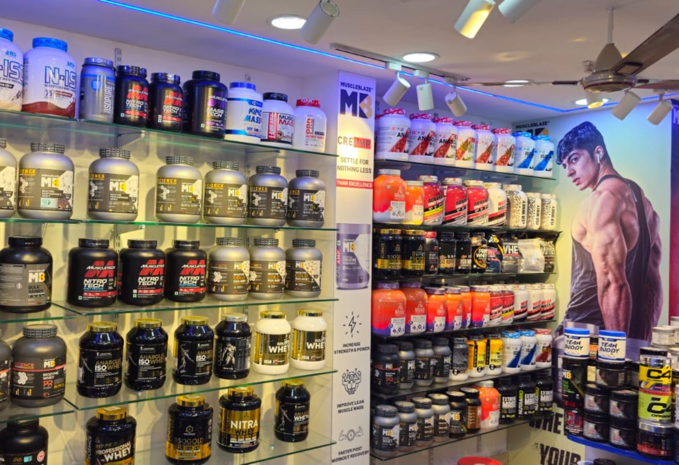 Untitled design - 2025-12-10T181727.101